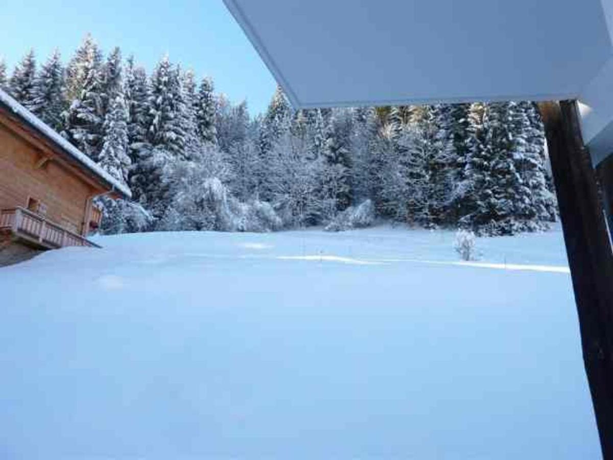 Appartement Morzine, 3 pièces, 6 personnes - FR-1-524-34 Extérieur photo